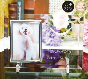 ybgʔvyAtHgt[@FP-5P Th z