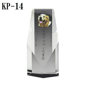 ybgʔvyNX^ʔv@KP-14U ()zJ[