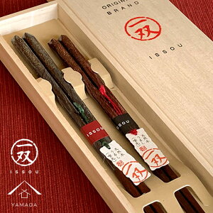 【27日9:59までP+2倍と最大2000円OFF】 箸 オーロラ ギフト 一双 ギフト箸 ペア プレゼント 記念品 母の日 父の日 敬老の日 結婚記念日 結婚祝い 引出物 日本製 国産 記念日 漆器 お祝い いい夫婦