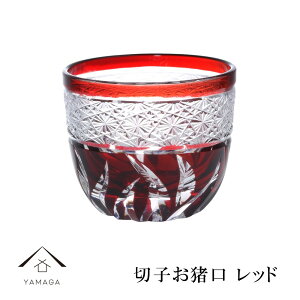 y15̓|CgSi+10{z ؎q  bh  yQD580Rz OX Rbv ̓ ̓ hV̓ 肱 IV Mtg v[g LOi a V