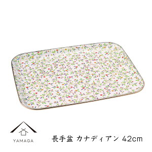 y524Ԃ̓|Cg10{ƍő2000~OFFz ~ JifBA 42cm IB ~ g[ gC tray v[g { Y ĕ  fUCg[ `}bg H H ` 