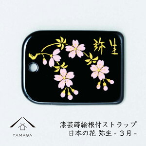 y3024Ԃ͑SiP+10{z G | t {̉ԃV[Y y퐶z tXgbv a a  COo {̂yY [