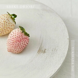 y524Ԃ͑SiP+10{z SHIKI-ORIORI 肨 䂫͂ Dai  v[g M ԑ ~ ~ tray gC g[  IuWF  ԕr WG[