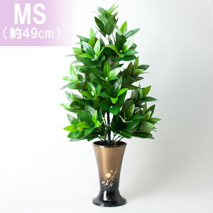 nw Ԃ MSTCYi49cmj 1{