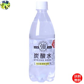 【2ケース送料無料】【地域限定】友桝飲料 強炭酸水 500mlペットボトル×24本入2ケース