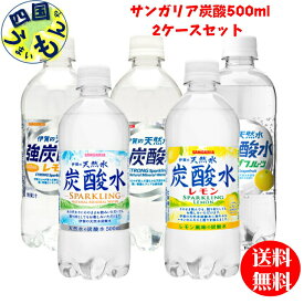 サンガリア　選べる2ケース！　伊賀の天然水強炭酸水 強炭酸水レモン 強炭酸水グレープフルーツ 炭酸水 炭酸水レモン 500mlペット×48本