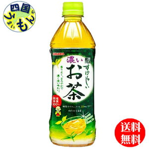 yzTKA ΂炵Z (500mlybg{g×24{j1P[X 24{