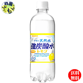 【2ケース 送料無料】 サンガリア 伊賀の天然水 強炭酸水 レモン 500ml ペットボトル ×24本 2ケース 48本　サンガリア