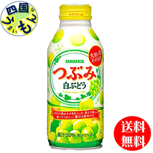 y2P[Xz TKA ԂݔԂǂ 380g{g×24{ 2P[X