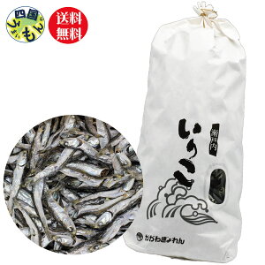 yz쌧ɐY H肱 1U܃Zbg 1kg 肱 킬 킵 싙A