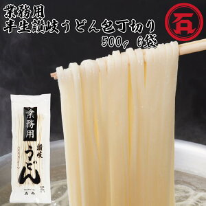 【送料無料】 石丸製麺 業務用半生讃岐うどん包丁切り 500g (5人前) ×6袋 1ケース 計6袋 讃岐うどん さぬきうどん 香川