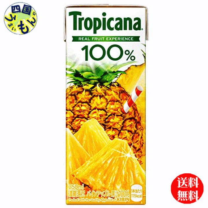 送料無料キャンペーン?】 送料無料 キリン トロピカーナ100% アップル 250ml紙パック 24本入 arkhitek.co.jp 送料無料キャンペーン?】 送料無料 キリン トロピカーナ100% アップル 250ml紙パック 24本入 arkhitek.co.jp