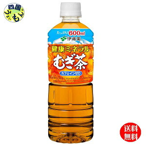 y2P[Xz ɓ N~lނ 600mlybg{g×24{ 2P[X 48{