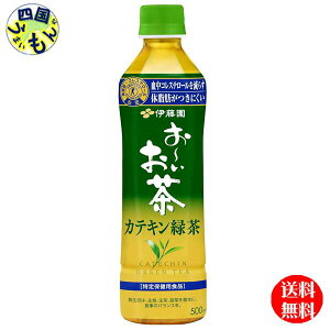 yz ɓ ` JeLΒyیpHi ہz 500mlybg{g×24{ 1P[X 24{