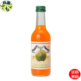 【送料無料】友桝飲料 夕張メロンサイダー 245ml 瓶×24本入 1ケース 24本 北海道