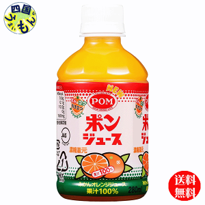 y3P[Xz Ђ߈ POM |W[X 280mlybg{gx24{ 3P[X 72{