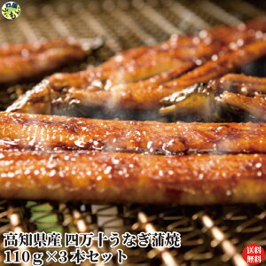 yzl\Ȃ 110g×3 ^t ̂蕲t ^pbN Ă Ȃ l\Ȃ m ⓀN[ ylYz