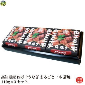 【送料無料】四万十うなぎ まるごと一本 110g×3缶セット 蒲焼 うなぎ 四万十うなぎ 缶詰 高知県 常温便 【四国物産】