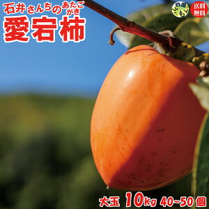y200~OFFIzy\tJnIzΈ䂳񂿂 쌧Y `ia`j 10kg 1 40`50O T}t S҂łSȒPȊ`E킹`t y_앨ł̂Ŋ