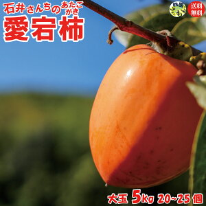 y200~OFFIzy\tJnIzΈ䂳񂿂 쌧Y `ia`j 5kg 1 20`25O S҂łSȒPȊ`E킹`t y_ŸׁAԌłB z