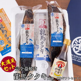 【冷凍便】【送料無料】【贈り物にピッタリ!】高知県産 鰹たたき 魚 ギフトセット かつお 藁焼き かつおのたたき お取り寄せグルメ カツオ 本場高知の塩たたき2本ギフトセット!ポン酢1瓶付属!職人が丹精込めて焼き上げた完全ワラ焼き鰹(カツオ)タタキ 龍馬タタキ! ハマヤ