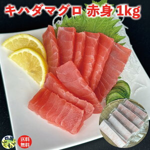 Ln_}O Ԑg 1kg×1Zbg Ln_}O CN CN Ɩp Ԑg ܂  }O ym