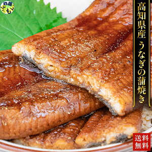 mY LȂ 唻TCY Ȃ EiM V 200`220g× 2 RtẴ^10m ym