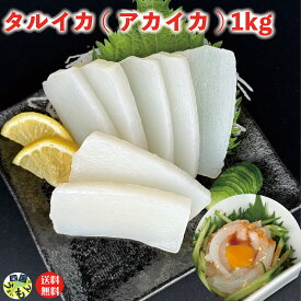 タルイカ (アカイカ) 1kg×1セット アカイカ イカ いか 海鮮丼 海鮮 業務用 土佐洋