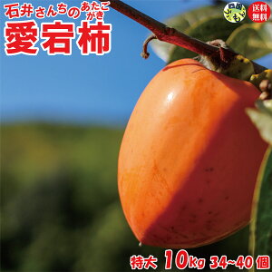 y200~OFFIzy\tJnIzΈ䂳񂿂 쌧Y `ia`j 10kg 1 34`40O S҂łSȒPȊ`E킹`t y_앨ł̂ŊԌłB