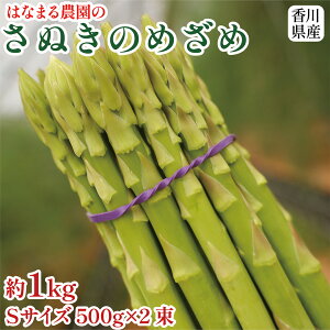 y_ƒz@ʂ̂߂ STCY500g×2 1kgO 쌧Y AXpKX AXp ~jg}g g}g p p Mtg v[g ؃Mtg ͂Ȃ܂_ 1kg VN