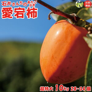 y700~OFFIzy^oגIzΈ䂳񂿂 쌧Y `ia`j 10kg 1 28`34O T}t S҂łSȒPȊ`E킹`t y_앨ł̂ŊԌ