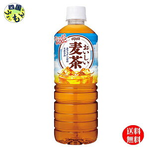 yz _Ch[  ybg{g 600ml 1P[X 24{