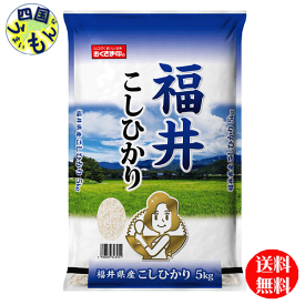 【送料無料】幸南食糧 福井県　こしひかり 白米 令和5年産 5kg 1袋(5kg)　【メーカー直送商品】