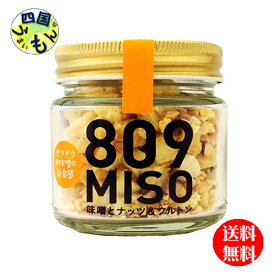 【送料無料】　ヤマク　809MISO 味噌とナッツ＆クルトン　100gx 10本　1ケース　10本