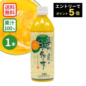 【11/4以降順次出荷】★エントリーでポイント5倍★専門店のシークヮーサー 500ml (沖縄県産シークワーサー 果汁100%ジュース)