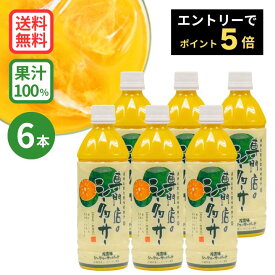 ★エントリーでポイント5倍★専門店のシークヮーサー 500ml×6本 ［1本あたり1,300円］ (沖縄県産シークワーサー 果汁100%ジュース) シークワーサー シークアーサー 果実 100% 青切りシークワーサー 送料無料