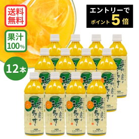 ★エントリーでポイント5倍 ★専門店のシークヮーサー 500ml×12本 ［1本あたり1,200円］(沖縄県産シークワーサー 果汁100%ジュース) ジュース シークワーサー シークアーサー 果実 100% 青切りシークワーサー 送料無料