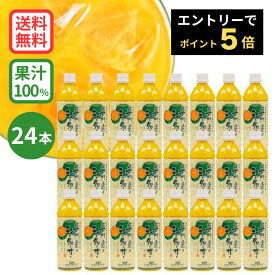 ★エントリーでポイント5倍★専門店のシークヮーサー 500ml×24本 ［1本あたり1,200円］(沖縄県産シークワーサー 果汁100%ジュース) ジュース　シークワーサー 　シークアーサー　果実　100%　青切りシークワーサー