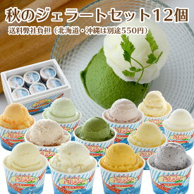 しまなみドルチェ人気ジェラート12種秋セット！送料弊社負担！（12個入り)