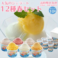 しまなみドルチェ人気ジェラート12種春セット！送料弊社負担！（12個入り)