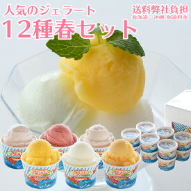 しまなみドルチェ人気ジェラート12種春セット！送料弊社負担！（12個入り)