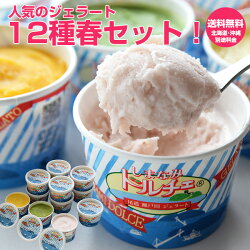しまなみドルチェ人気ジェラートベスト12セット!送料無料