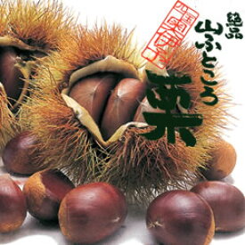 四国奥伊予 城川町産でっかい栗2kg(60〜80個)