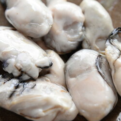 広島県産冷凍かき1kg