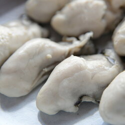 広島県産冷凍かき1kg