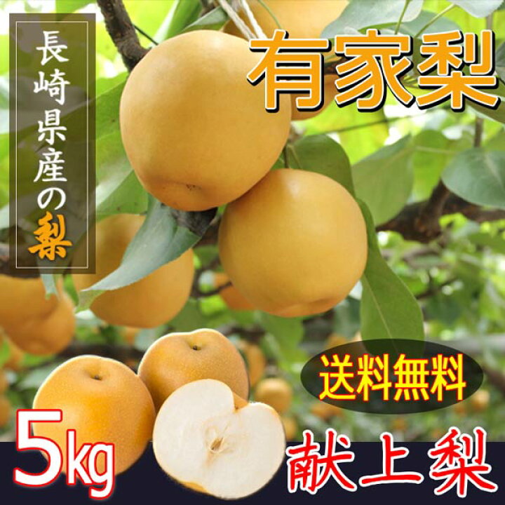 楽天市場】新高 梨 10玉入り (500g以上) 5kg 高級梨 農家直送 贈答用 