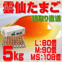 送料無料 雲仙 たまご 5kg 箱入り (L:80個 M:90個 MS:108個))究極のたまご 卵 卵かけご飯 高級卵 九州 新鮮 生卵 TKG もみじたまご...