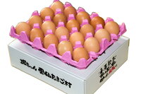 雲仙たまご20個入り6箱まで同梱できます『卵/卵かけご飯/卵高級/卵九州/卵新鮮/生卵』