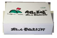 雲仙たまご20個入り(M:Lから選べます)6箱まで同梱できます卵卵かけご飯高級卵九州新鮮生卵TKGもみじたまご鶏卵アレルギー〜1.9kgお持たせお返しなどシルバーウィーク