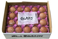 雲仙たまご20個入り6箱まで同梱できます『卵/卵かけご飯/卵高級/卵九州/卵新鮮/生卵』
